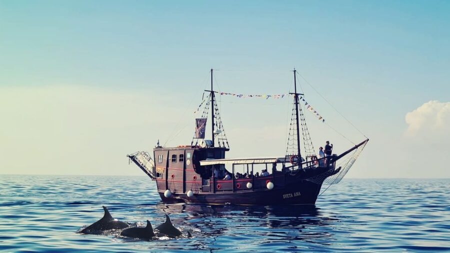 Vrsar: Dolphin Watching Boat Ride - Drinks and Istrian white wine: a fun bonus, not the main event