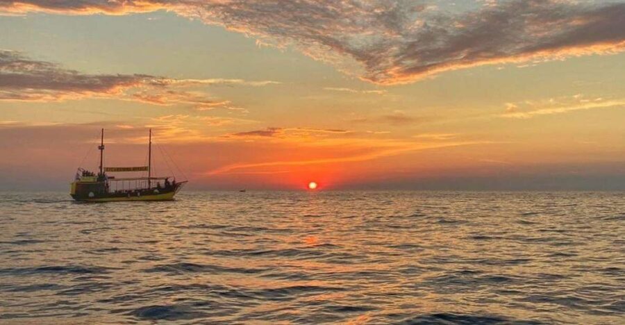 Vrsar: Dolphin Watching Boat Tour including Drinks - FAQ