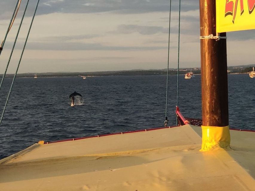 Vrsar: Dolphin Watching Boat Tour including Drinks - Should you book this dolphin watching tour in Vrsar?
