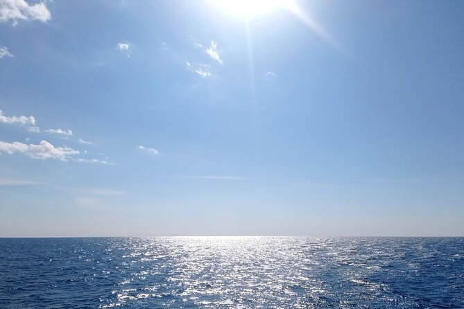 Vrsar, Lim Fjord and Rovinj Day Tour by Boat with Drinks - Who should book this Rovinj, Vrsar, Lim day boat tour
