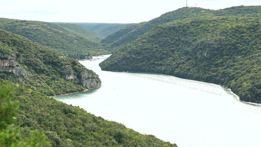 Vrsar: Lim Fjord Boat Tour with Swimming near Pirate's Cave - What to Bring, What to Skip, and How to Get Comfortable