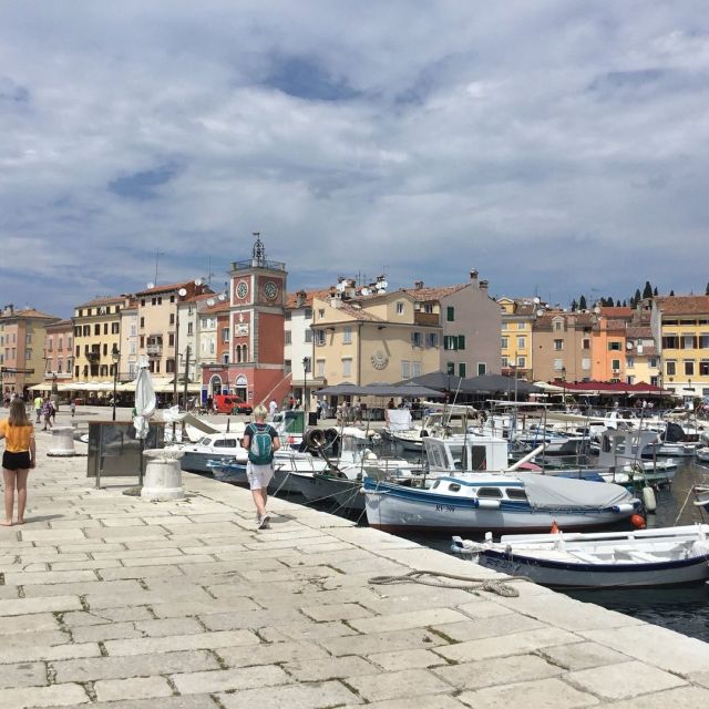 Vrsar: Lim Fjord - Rovinj Fish Picnic - Key things to know before you go