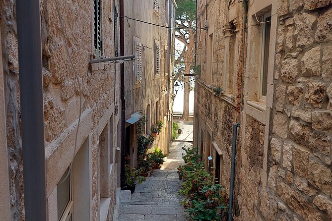Walking Tour in old town Korcula 1 Hour - Should you book this 1-hour Old Town Korčula walk?