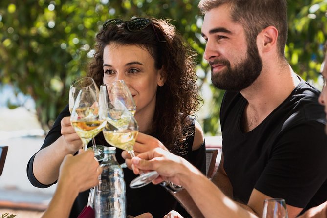 Wine Lover's Tour of Peljesac Peninsula - Getting out of Dubrovnik: free pickup, air-conditioned comfort, and a focused day