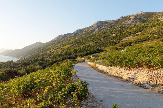 Wine Lover's Tour of Peljesac Peninsula - Stop 1: your first winery tour and tasting, where the day sets the tone