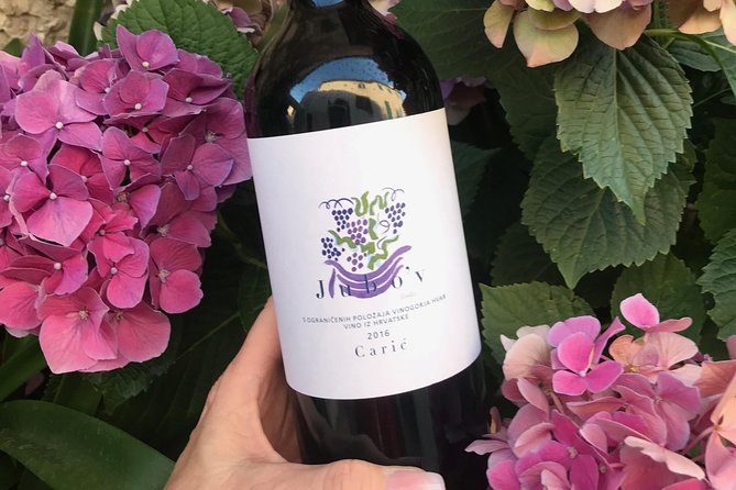 Wine Lovers tour from Hvar - Vrisnik: meeting Jo Ahearne, an academically trained winemaker on Hvar