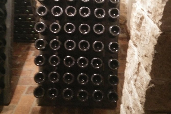 Wine & more Tour , private guided wine tour from POREC, UMAG ,Istria - How Many Wines You’ll Taste, and How to Pace It Like a Pro