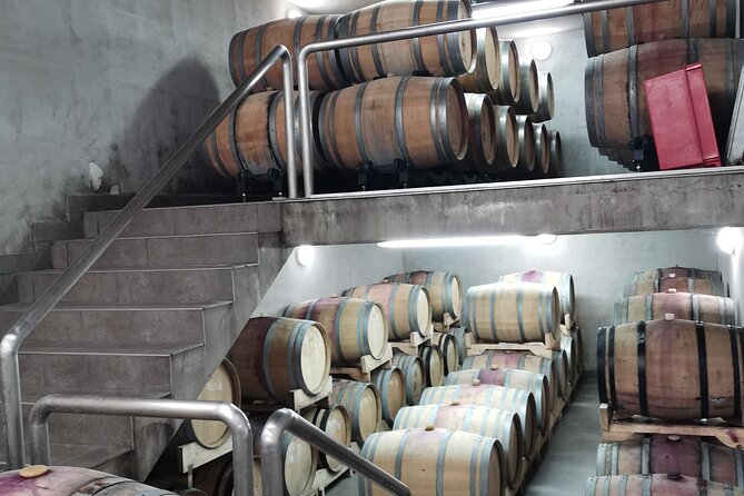 Wine Tasting Experience at the organic winery in Šišan - Finding Šišan’s TrapanGiordano Dobran tasting room near Pula