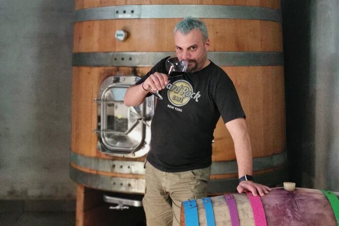 Wine Tasting Experience at the organic winery in Šišan - The tasting flow: what your 90 minutes likely feels like