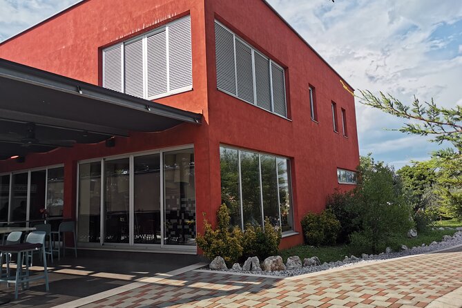 Wine Tasting Experience at the organic winery in Šišan - Should you book the organic Trapan tasting in Šišan?
