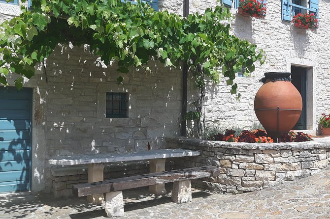 Wine Tour - The Best of Istria - The guide and the six-person limit: why the day feels personal