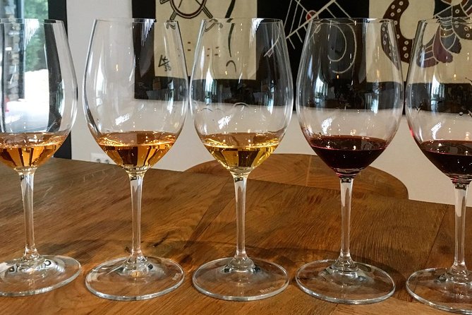Wine Tour - The Best of Istria - Price and value: why $462.56 can make sense here