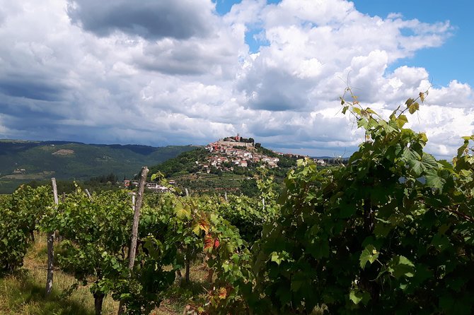 Wine Tour - The Best of Istria - Grožnjan hilltop artists: the break that keeps the day fun