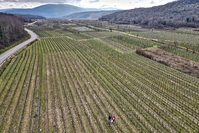 Winery Tour and Tasting with the Sommelier in KRK - Where the Tour Starts: Kuća vina Ivan Katunar in Vrbnik