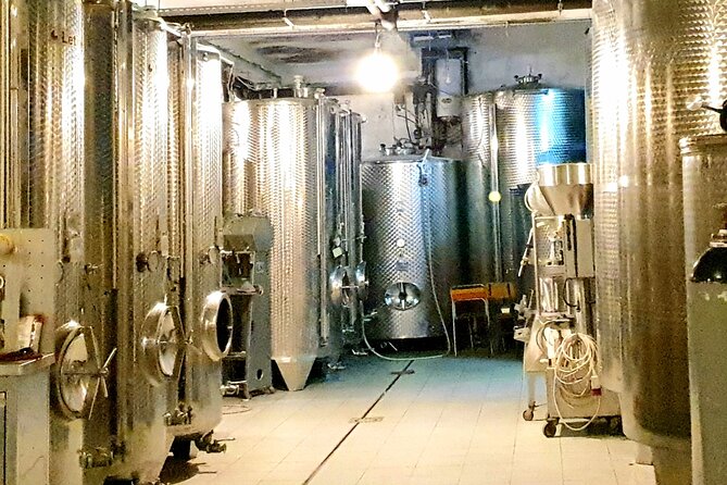 Winery Tour and Tasting with the Sommelier in KRK - What to Expect on Your Timeline (So It Fits Your Day)