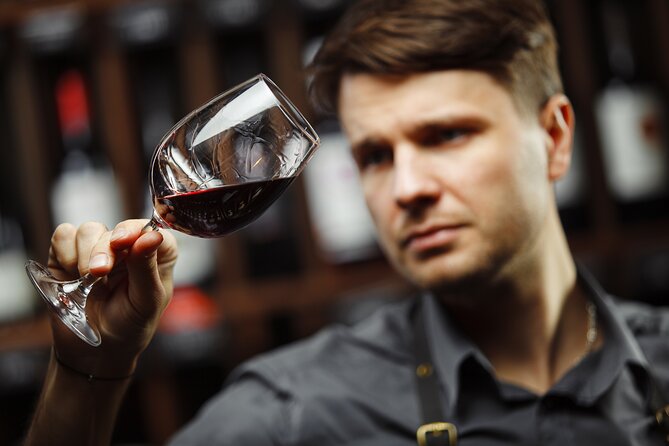 Winery Tour and Tasting with the Sommelier in KRK - Who Should Book This Krk Winery Tour