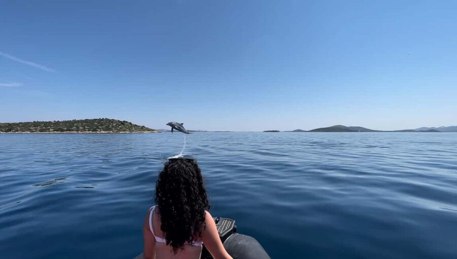 Zadar: 3-Island Speedboat Tour with Snorkeling and Drinks - Key highlights that make this Zadar tour worth your time