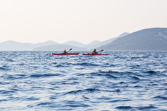 Zadar Archipelago 3 Islands Sea Kayaking Day Trip - From Zadar Old Town To Molat Pier, Morning Logistics That Matter