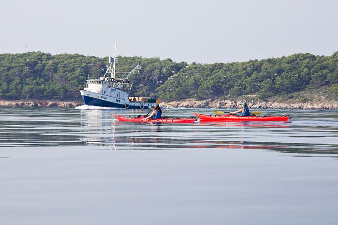 Zadar Archipelago 3 Islands Sea Kayaking Day Trip - Small Group Size, Group Pacing, And Why It Affects Your Enjoyment