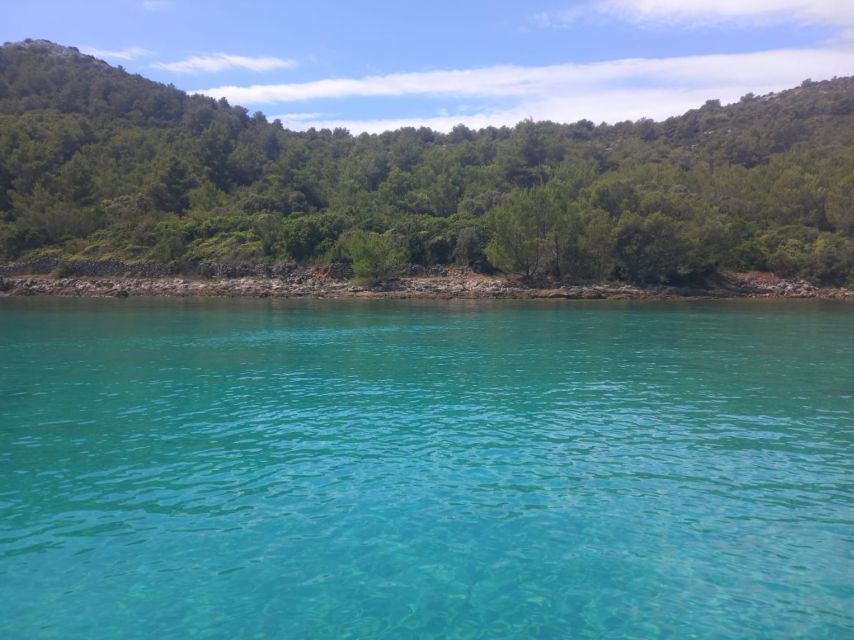 Zadar: Boat tour Half day -Private - What to Do If Your Group Has Mixed Priorities