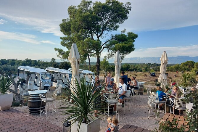 Zadar: City and Wine Tour in Zadar with Eco Tuk Tuk - Sea Organ: The Waterfront Sound Art You Can Actually Hear
