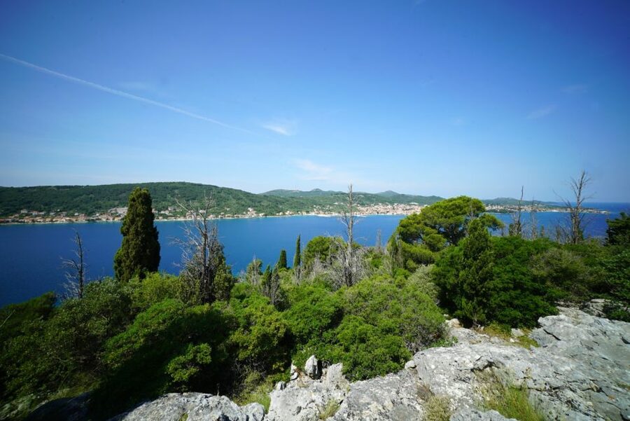 Zadar: Guided Tour to Ugljan, Osljak, & Galevac by Speedboat - Guides can make or break it: why this one gets such high marks