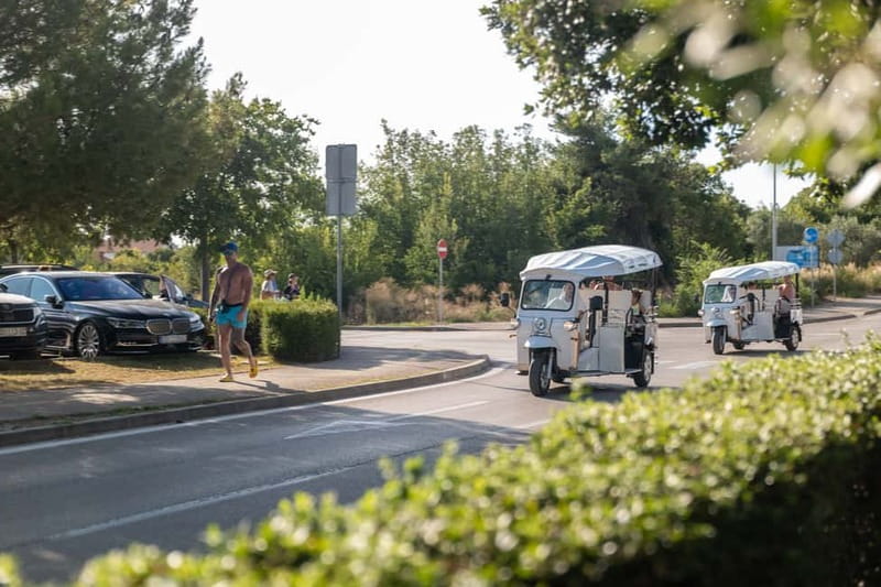 Zadar: Hidden Gems Eco Tuk Tuk Tour - Sea Organ: When Sound Becomes Part of the City