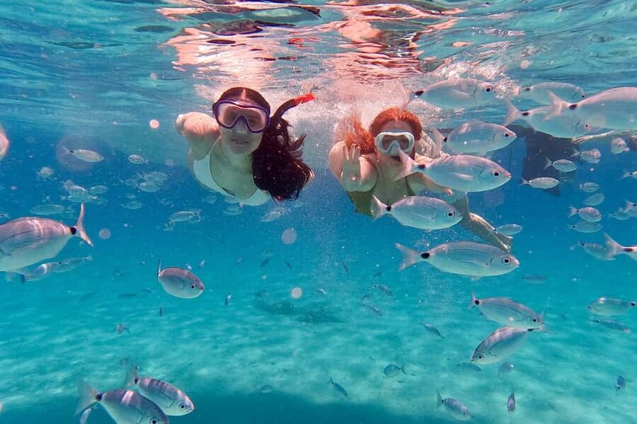 Zadar: Island-Hopping, Swimming & Snorkeling SpeedBoat Tour - Ošljak Island: a tiny inhabited island with park-forest character