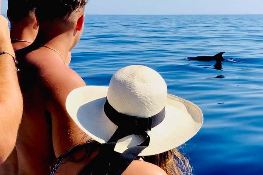 Zadar: Island-Hopping, Swimming & Snorkeling SpeedBoat Tour - What you get on board: GoPro, Bluetooth music, WiFi, and cold drinks