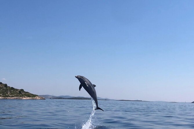Zadar: Island Luxury Speedboat Tour with Snorkeling - Best Day for This Tour: Weather, Sea Conditions, and Comfort