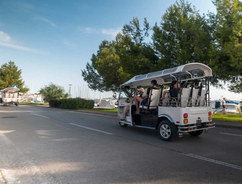 Zadar: Panorama Eco Tuk Tuk Tour - Who should book, and who should skip
