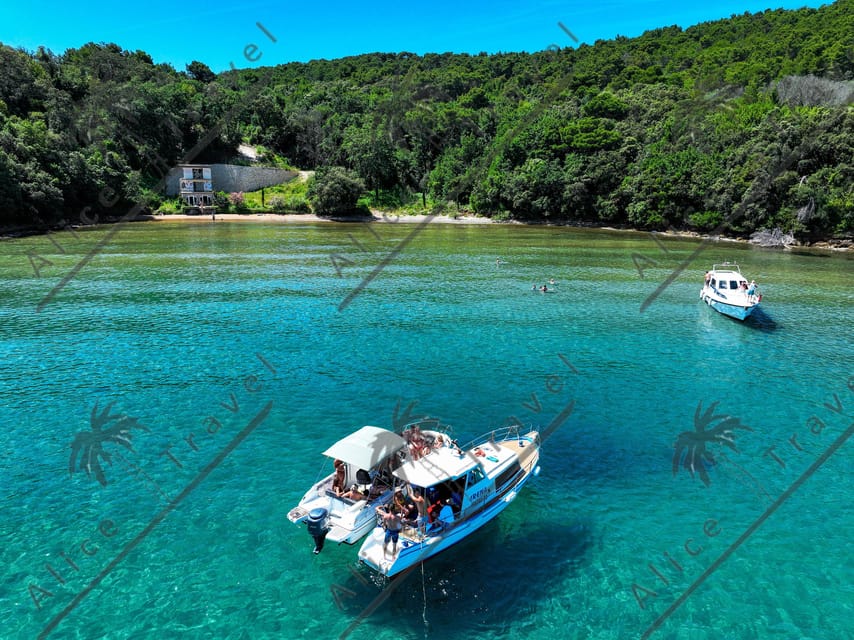 Zadar: Speedboat Escapade 3 stops & Snorkeling & Local Wine - Preko Island: lively summer energy and a beach you can swim from
