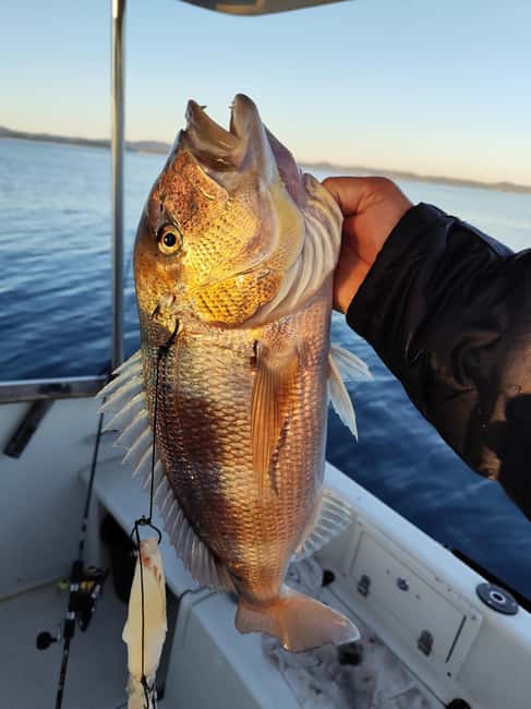 Zadar: Sunset Fishing Half-Day Guided Boat Trip - Who should book this and who might skip it