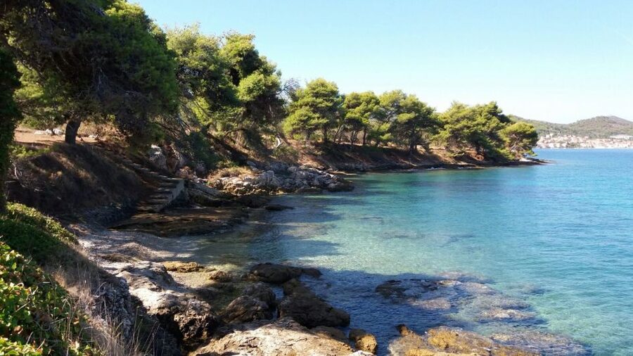Zadar: Ugljan, Ošljak and Školjić Islands Private Boat Tour - The best beach moments: pine shade, quiet sand, and crystal-clear shallows