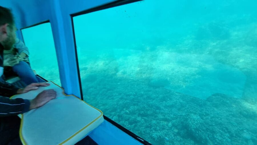 Zadar: Yellow Semi-Submarine Underwater Exploration Tour - Why a Yellow Semi-Submarine Works So Well in Zadar