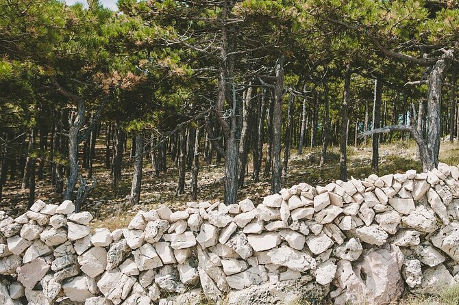 Zipline Experience Krk - Where You Start on Krk: Glagolitic Alley to Zipline Edison